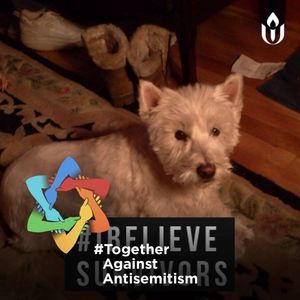 Meet your Posher, Joan